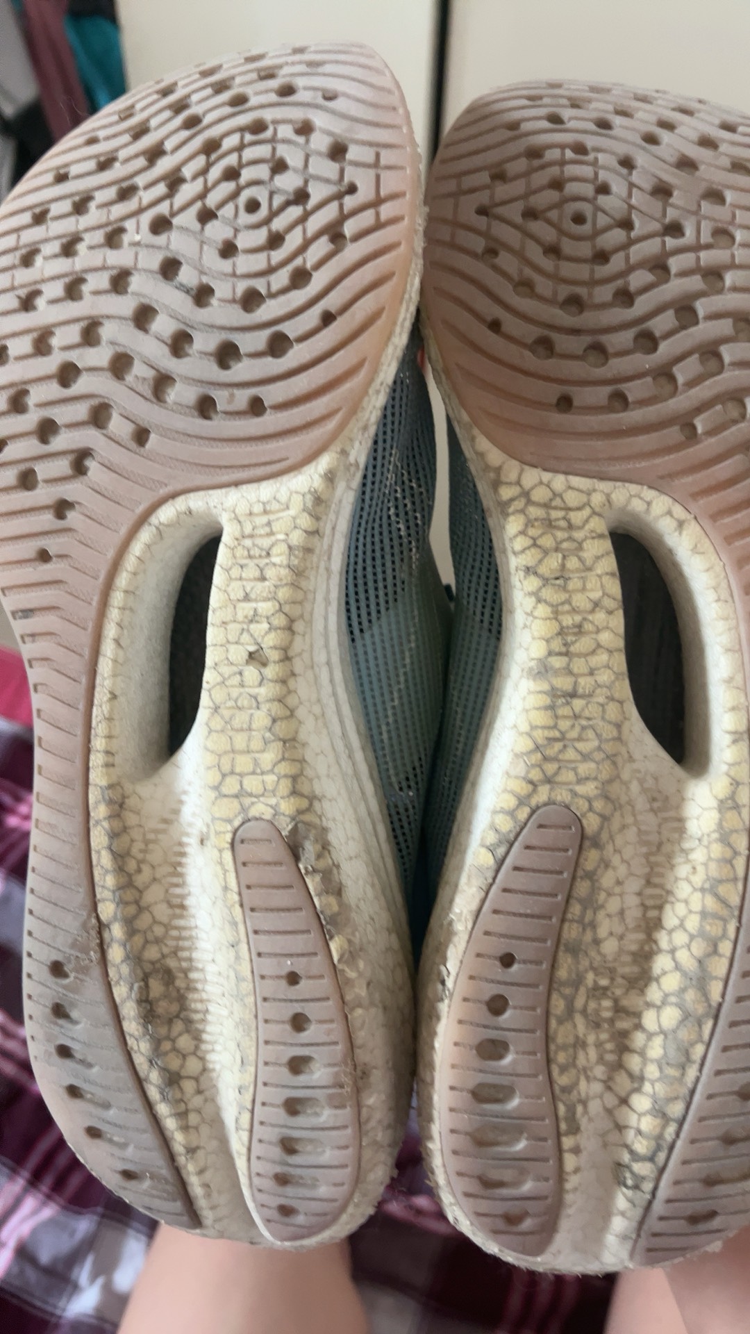 ?,壀鄎腱(髌腱是什么部位延续而成)-九游网页版